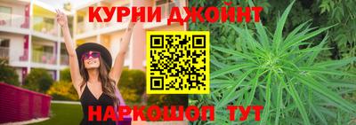 шишки Можга