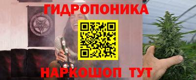 стаф Моздок
