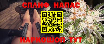 шишки Можга