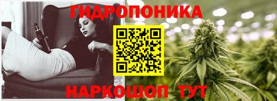 шишки Можга