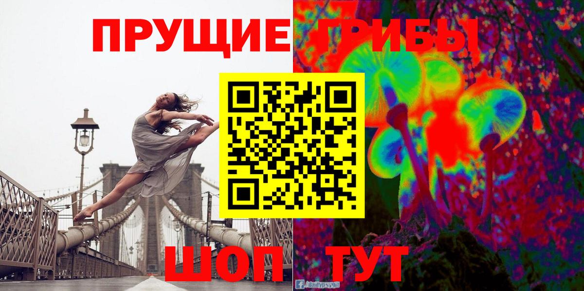 Псилоцибиновые грибы Cubensis Фурманов
